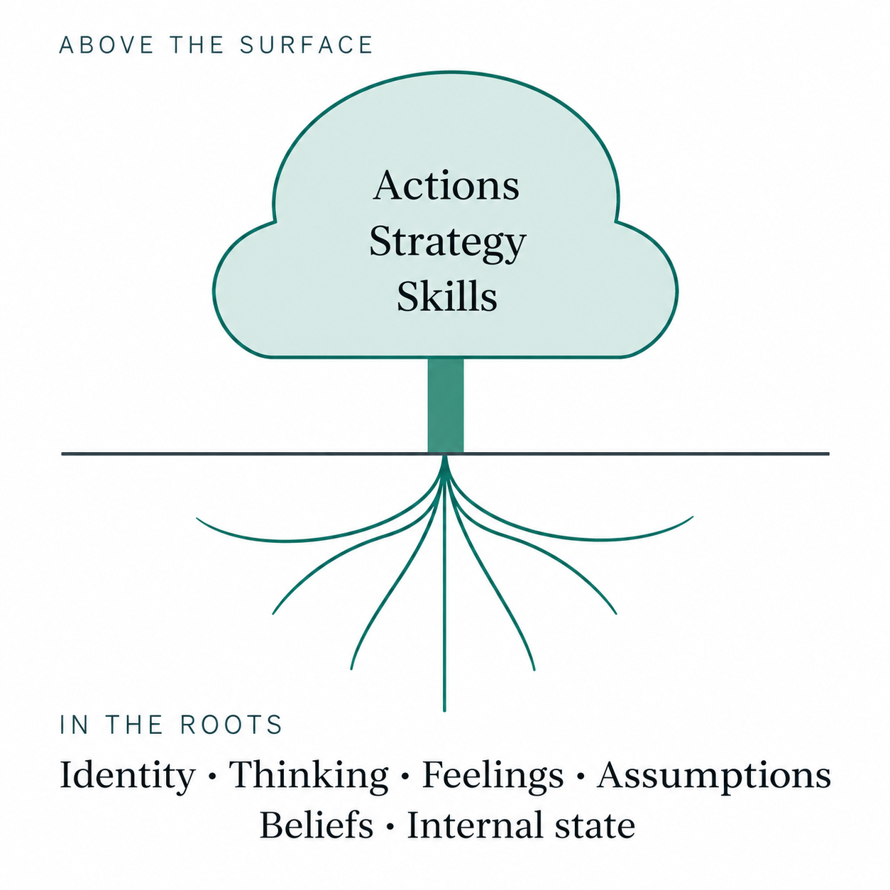 Above the Surface / Roots